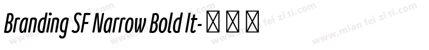 Branding SF Narrow Bold It字体转换